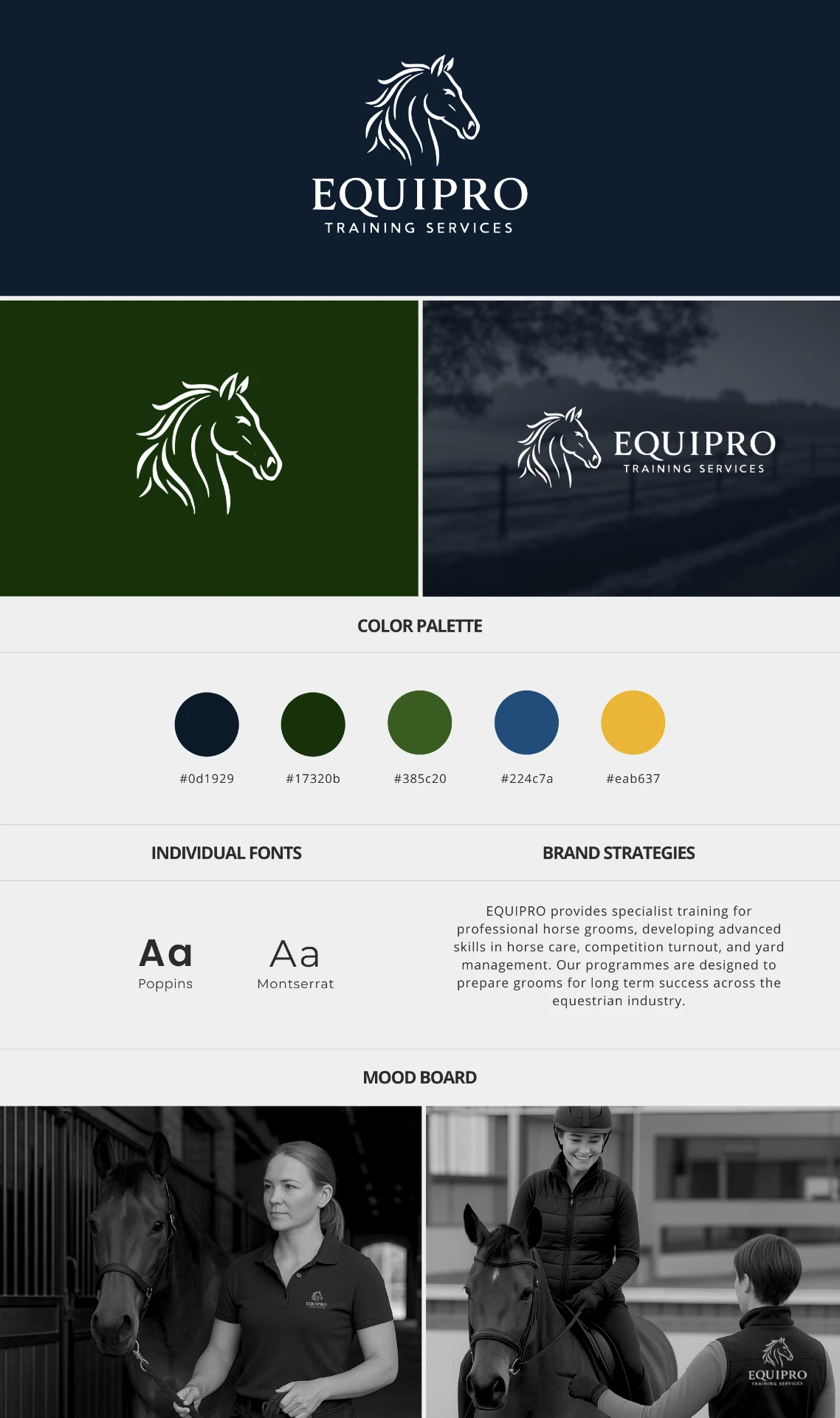 Equipro — Brand Identity, Website & Video Edit